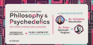 Philosophy and Psychedelics: On Connectedness and Alienation