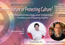 Patenting Nature or Protecting Culture? Ethnopharmacology and Indigenous Intellectual Property Rights