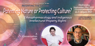 Patenting Nature or Protecting Culture? Ethnopharmacology and Indigenous Intellectual Property Rights