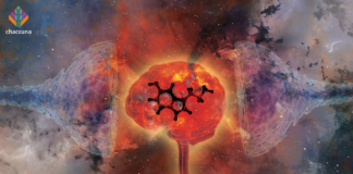 Risks of Serotonin Syndrome when Combining Psychedelics with Antidepressants