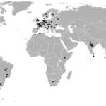 Globaldisofmush
