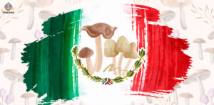 the psychoactive mushrooms of Mexico