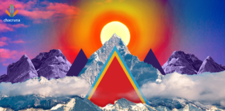 Psilocybin Mushroom Policy Review Panel: 2021 Comprehensive Report