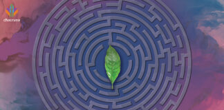 Press Release – Chacruna Institute Releases its Guide to RFRA and Best Practices for Psychedelic Plant Medicine Churches