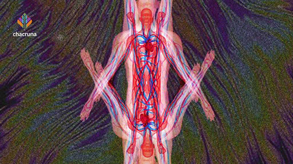 Psychedelic Future Site