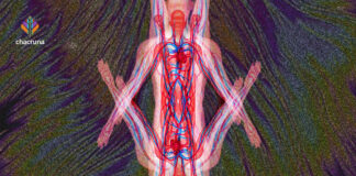 Preparing Ourselves for the Psychedelic Future with Berra Yazar-Klosinski Psychedelic Future Site