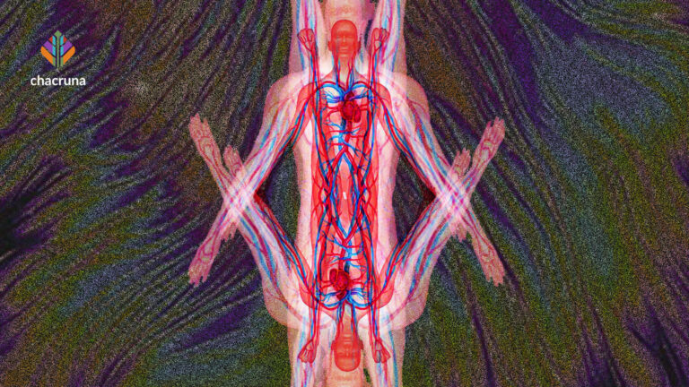 Psychedelic Future Site