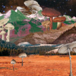 Cali Mycology WEB