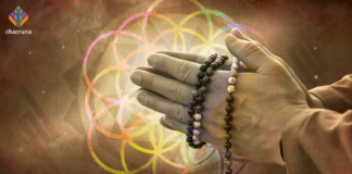 Warning: Oregon Legalized Supported Adult Use of Psilocybin, Not Psychedelic Therapy