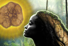 Educating Gringos in Shipibo Ways