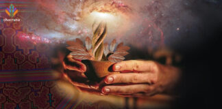 Esther Jean Langdon: Half a Century of Research About Shamanism and Ayahuasca Esther Jean Langdon researches shamanism and ayahuasca