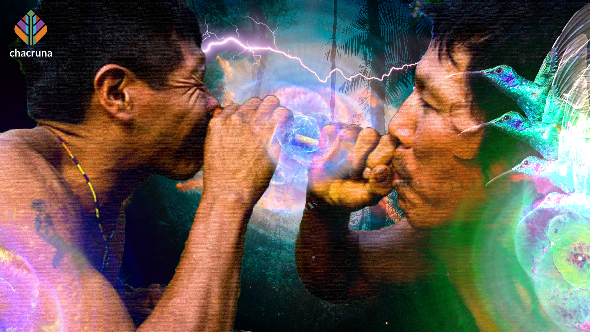 Agony and Ecstasy in the Amazon Tobacco and the hummingbird shamans of P picture