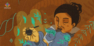 Yaminawa Women and Ayahuasca: Shamanism, Gender, and History in the Peruvian Amazon Yaminawa Women