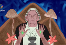 Mazatec Shamanic Knowledge and Psilocybin Mushrooms Mazatec Shamanism