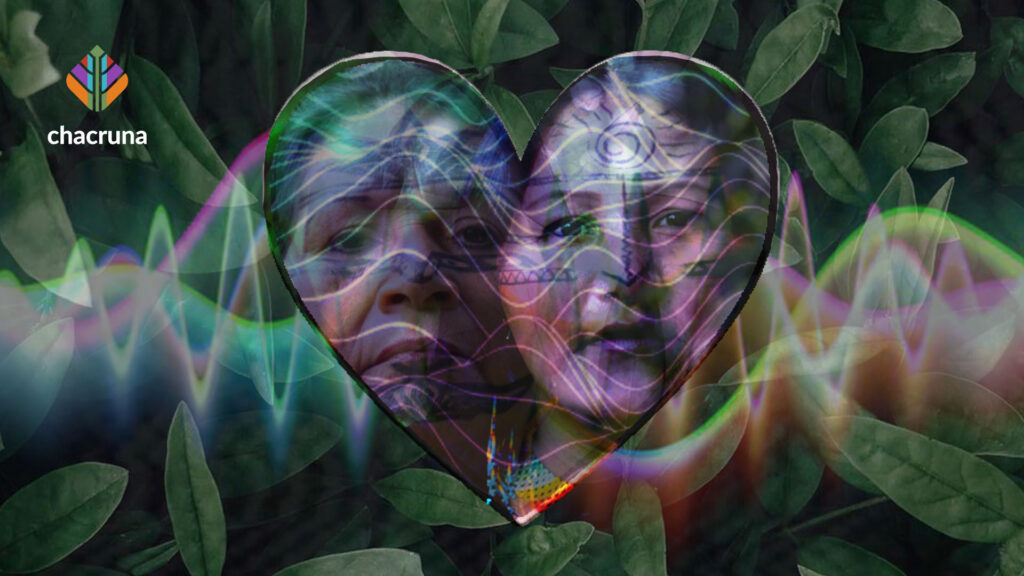 urban ayahuasca