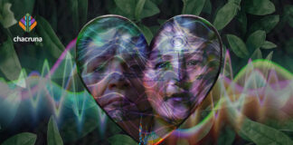 Women Who Heal: Musicians in the Urban Ayahuasca Scene urban ayahuasca