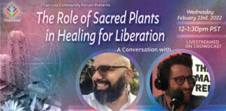 The Role of Sacred Plants in Healing for Liberation
