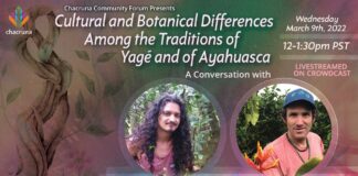 Cultural and Botanical Differences Among the Traditions of Yagé and of Ayahuasca