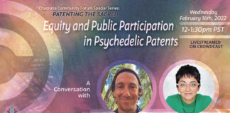 Equity and Public Participation in Psychedelic Patents