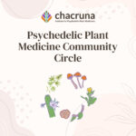 Psychedelic Plant Medicine Community Circle