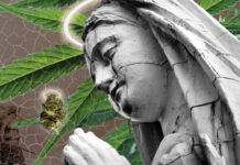 The Religious Uses of Licit and Illicit Psychoactive Substances in a Branch of the Santo Daime Religion Santo Daime