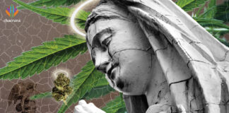 The Religious Uses of Licit and Illicit Psychoactive Substances in a Branch of the Santo Daime Religion Santo Daime