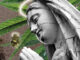 The Religious Uses of Licit and Illicit Psychoactive Substances in a Branch of the Santo Daime Religion Santo Daime
