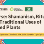 Shamanism, Ritual and Traditional Uses of Sacred Plants – for website