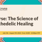 The Science of Psychedelic Healing – for website