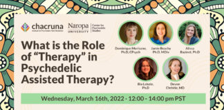 What is the Role of “Therapy” in Psychedelic Assisted Therapy?