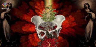 Ayahuasca and Childbirth in the Santo Daime Tradition: Solidarity Among Women and Psychedelic Cultural Resistance Ayahuasca and childbirth in the Santo Daime religion