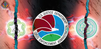 New Ayahuasca Legal Developments in the US: Soul Quest and Arizona Yagé Federal Court Cases