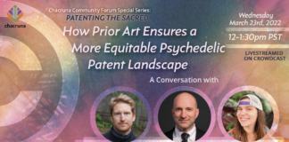 How Prior Art Ensures a More Equitable Psychedelic Patent Landscape