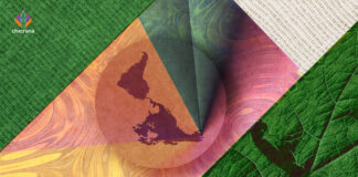 Psychedelics, the War on Drugs, and Violence in Latin America