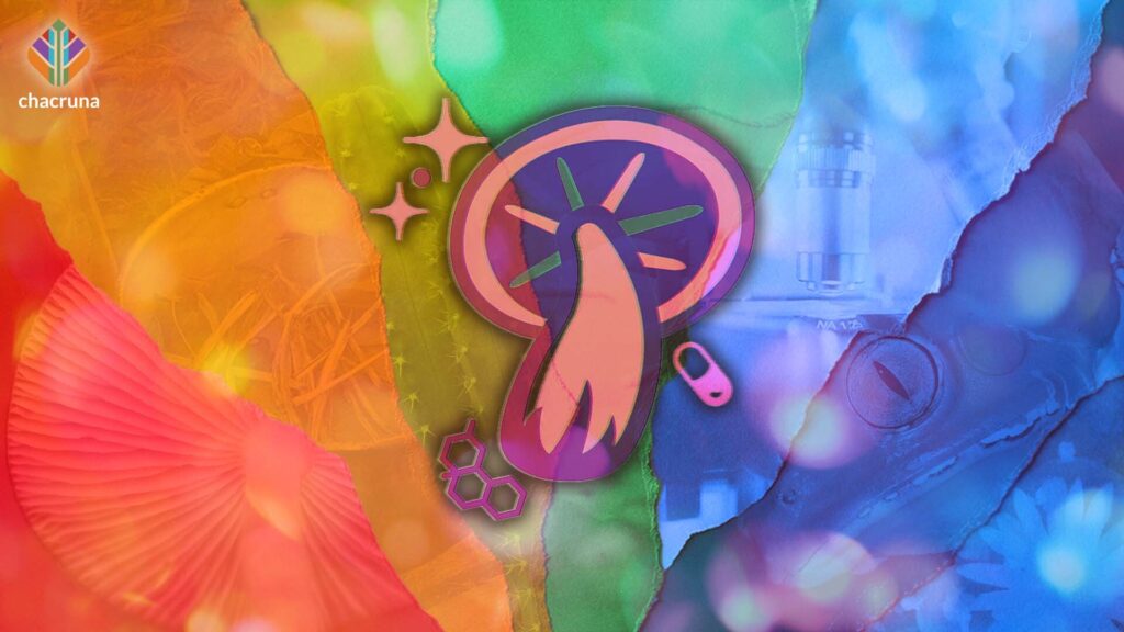 A psychedelic mushroom with a queer rainbow background