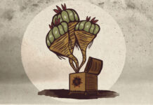 Decriminalize Nature Targets Peyote: Drug Reform or Settler Colonialism?