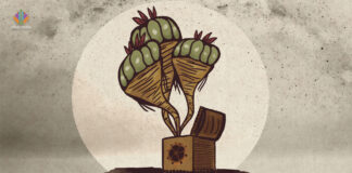 Decriminalize Nature Targets Peyote: Drug Reform or Settler Colonialism?