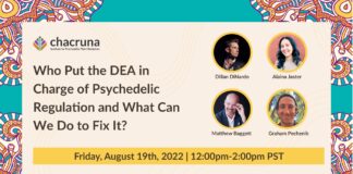 Who Put the DEA in Charge of Psychedelic Regulation and What Can We Do to Fix It?