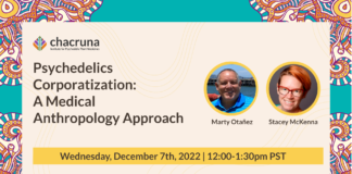 Psychedelics Corporatization: A Medical Anthropology Approach