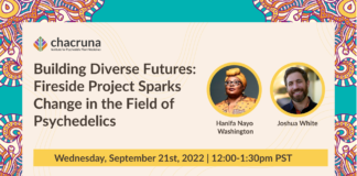 Building Diverse Futures: Fireside Project Sparks Change in the Field of Psychedelics