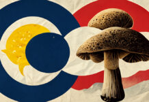 Why Colorado’s Natural Medicine Health Act is the Right Measure to Access Natural Psychedelic Medicine: Responding to Critics of NMHA