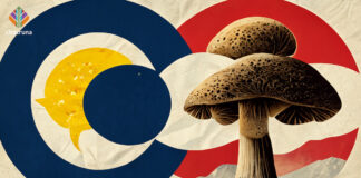 Why Colorado’s Natural Medicine Health Act is the Right Measure to Access Natural Psychedelic Medicine: Responding to Critics of NMHA