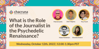 What is the Role of the Journalist in the Psychedelic Renaissance?