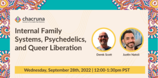 Internal Family Systems, Psychedelics, and Queer Liberation