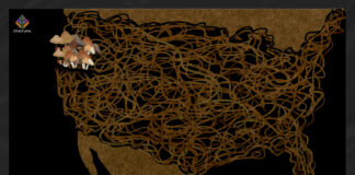 Oregon enters the home stretch to authorize psilocybin mushrooms Oregon has legalized psilocybin