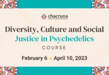 Course: Diversity, Culture and Social Justice in Psychedelics – Live/Online