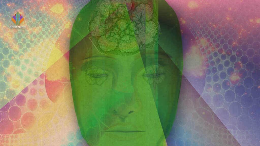 ayahuasca personality