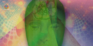 Modulatory Effects of Ayahuasca on Personality Structure in a Traditional Framework ayahuasca personality