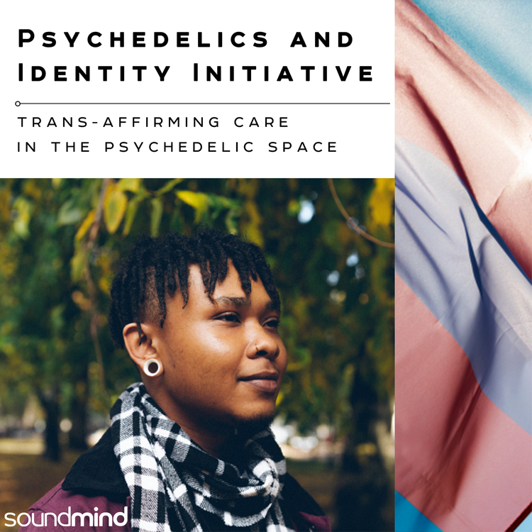 Psychedelics and Identity Initiative: Trans-Affirming Care in the Psychedelic Space
