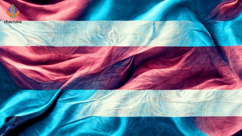 trans and gender affirming psychedelic healthcare